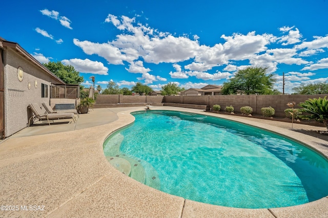 view of pool featuring a patio