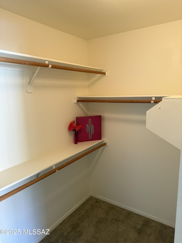 spacious closet featuring dark carpet