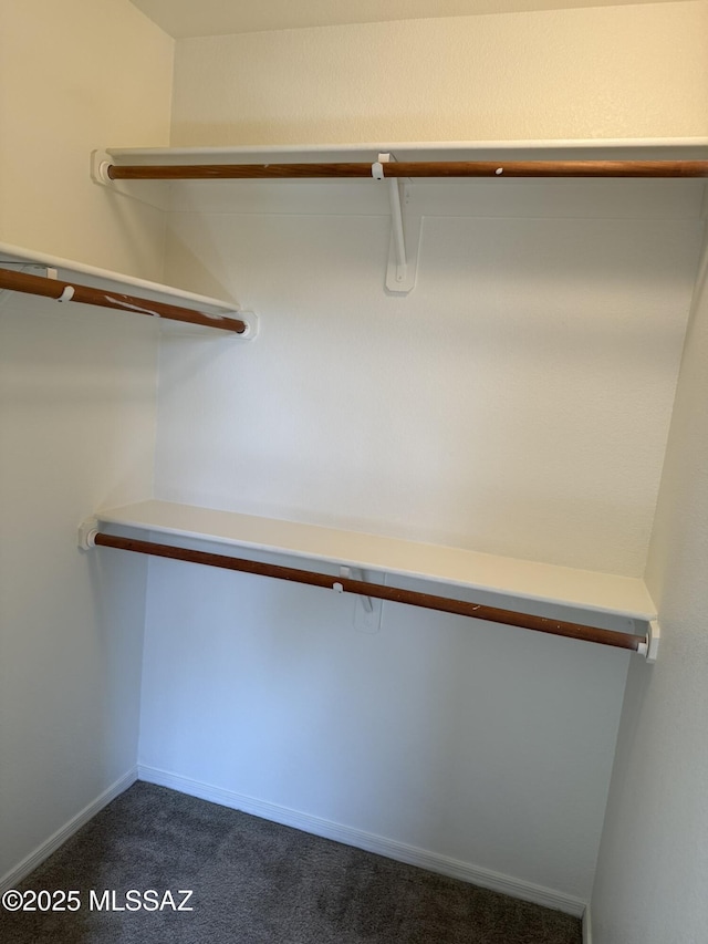 spacious closet with dark colored carpet