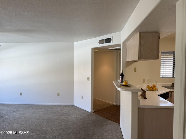 kitchen featuring visible vents, a textured ceiling, carpet flooring, light countertops, and baseboards