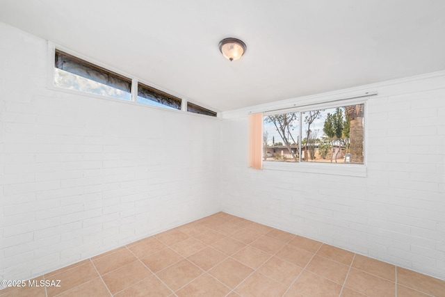 basement with brick wall