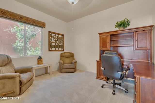 office featuring light colored carpet