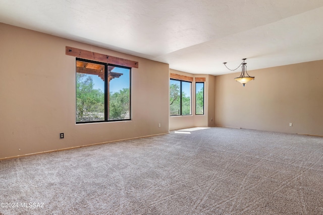 unfurnished room with carpet