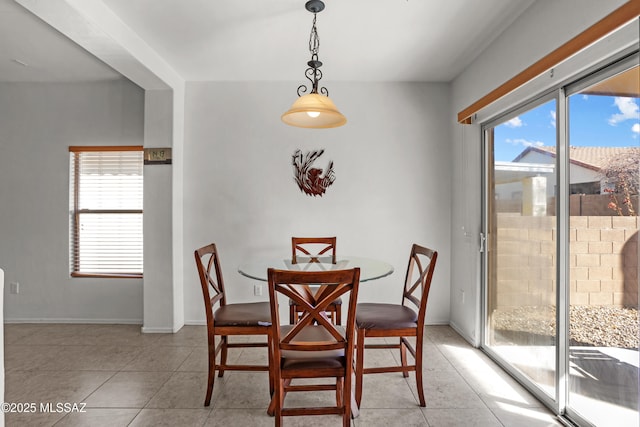 tiled dining room featuring a wealth of natural light