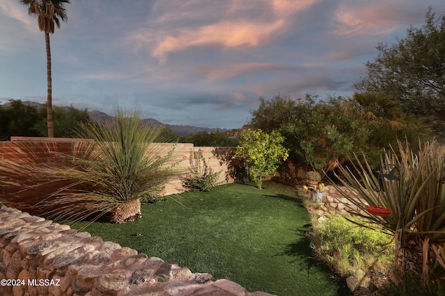 view of yard at dusk