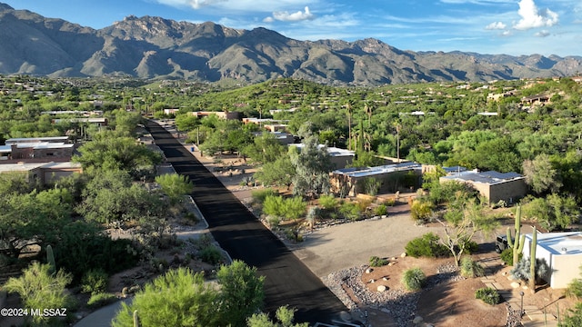 view of mountain feature