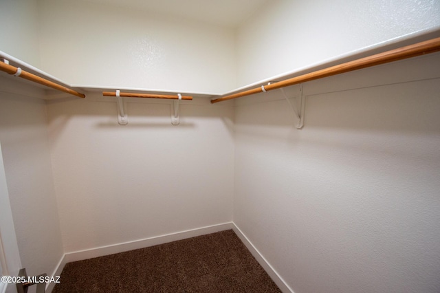 spacious closet with carpet floors