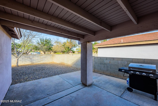 view of patio / terrace with grilling area