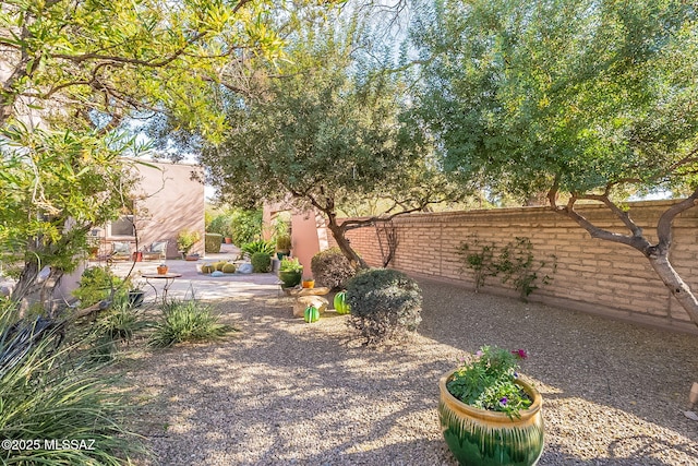 view of yard featuring a patio area and fence