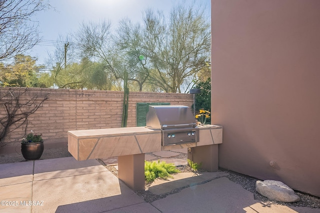 view of patio / terrace featuring an outdoor kitchen and grilling area