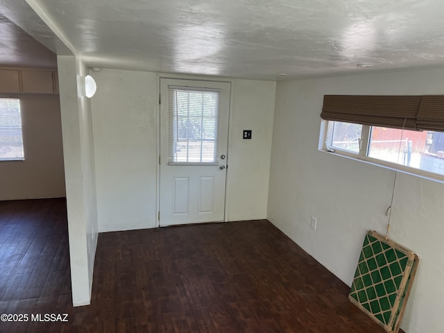 entrance foyer featuring dark hardwood / wood-style flooring