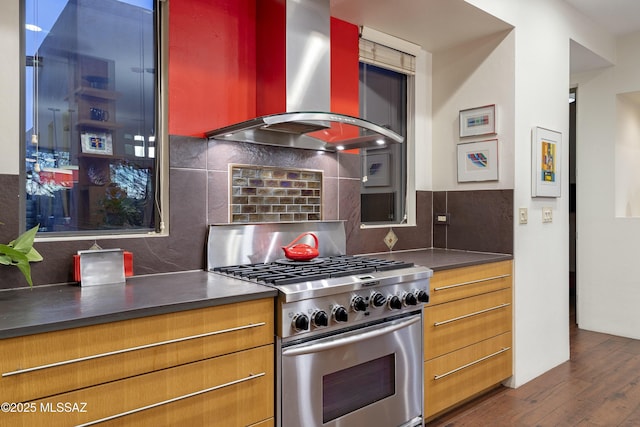 kitchen with gas stove, backsplash, range hood, and dark wood-type flooring