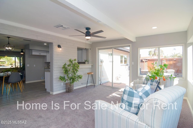 carpeted living room featuring beamed ceiling and ceiling fan with notable chandelier