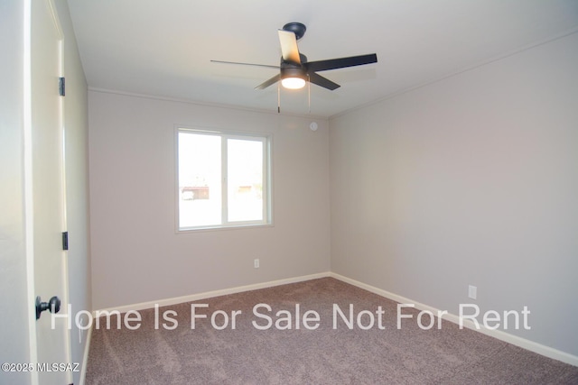 spare room with carpet and ceiling fan