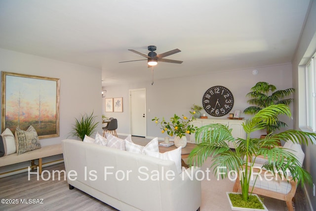 living room with ceiling fan and light hardwood / wood-style floors