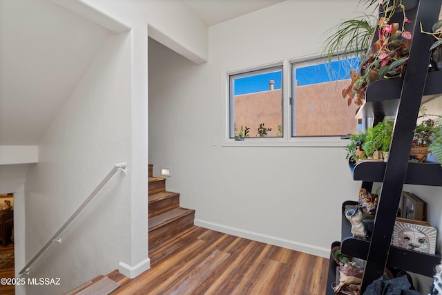 staircase featuring wood-type flooring