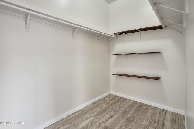 spacious closet with light wood-style flooring