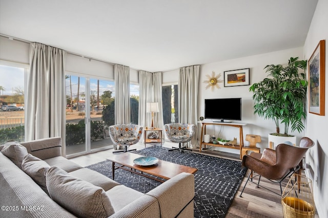 living room featuring light hardwood / wood-style floors