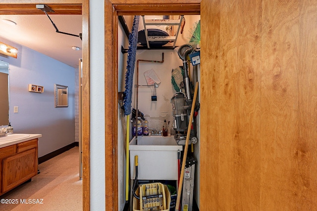 laundry area with sink