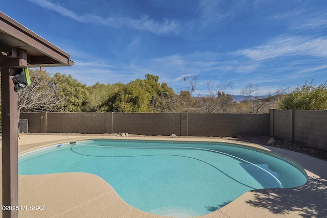 view of swimming pool