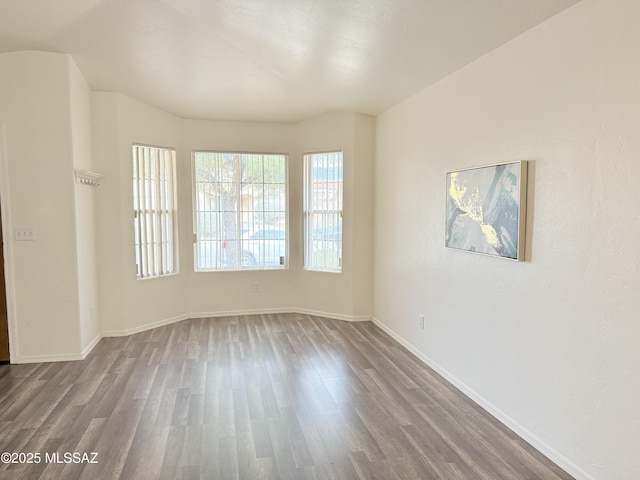 empty room with hardwood / wood-style floors