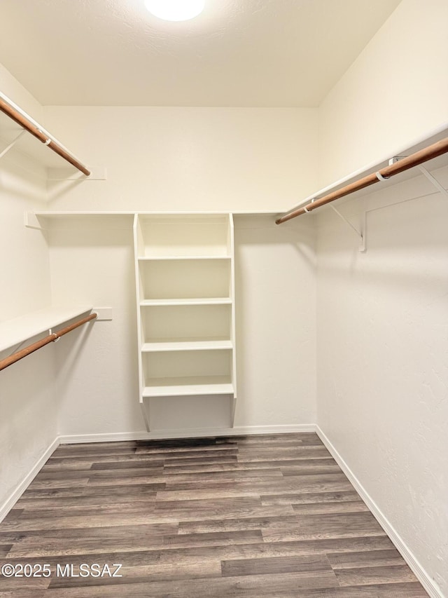 spacious closet featuring dark hardwood / wood-style flooring