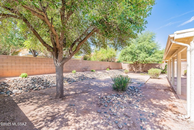 view of yard featuring a patio area