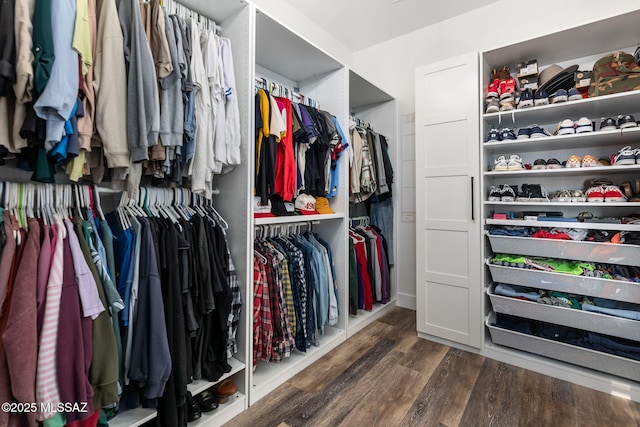 walk in closet featuring dark wood-type flooring