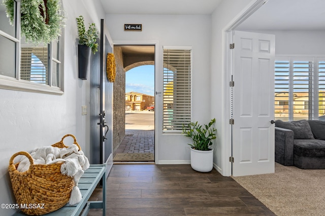 entrance foyer with dark hardwood / wood-style floors