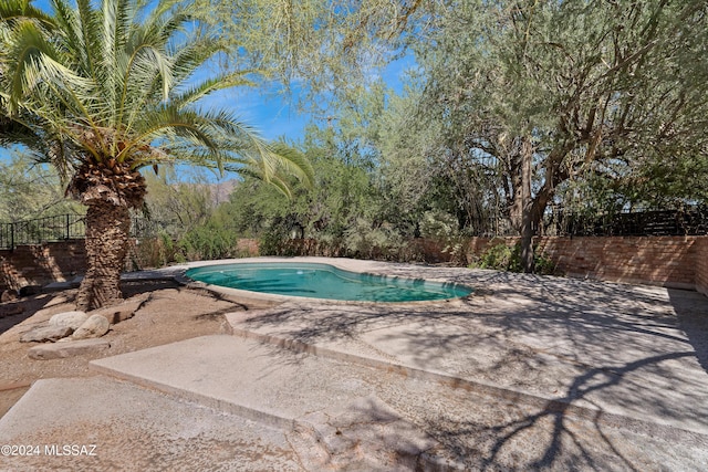 view of swimming pool with a patio