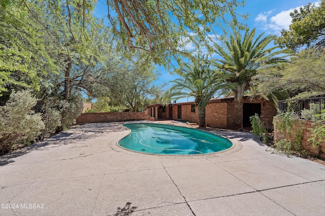 view of pool with a patio area