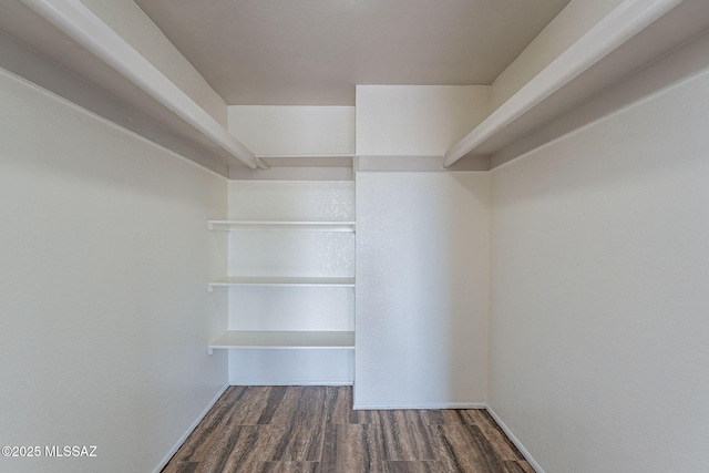 spacious closet featuring dark hardwood / wood-style floors