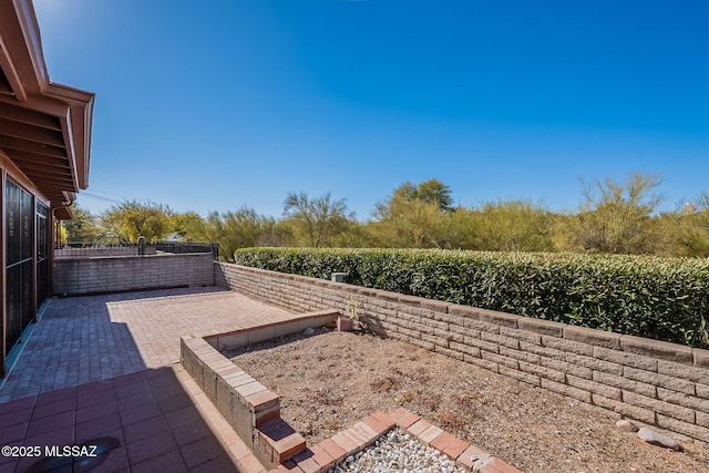 view of yard featuring a patio