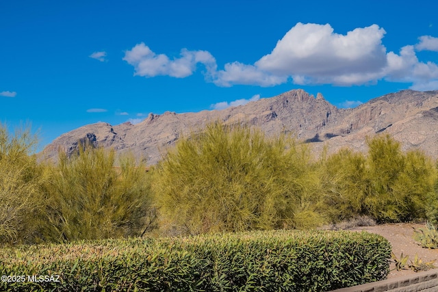 property view of mountains