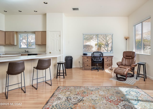 office area featuring light hardwood / wood-style flooring and sink