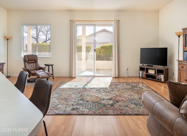 living room with light wood-type flooring and a healthy amount of sunlight