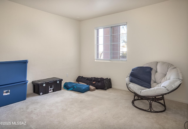 living area with carpet