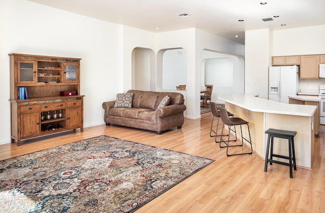 living room featuring light wood-type flooring