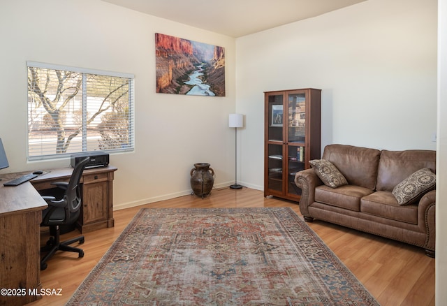 home office featuring light hardwood / wood-style flooring