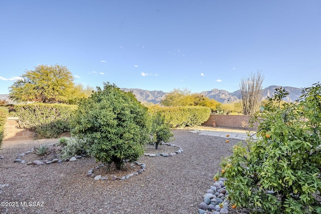 view of yard featuring a mountain view