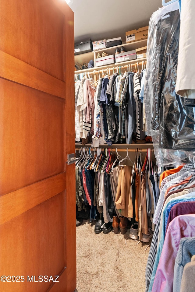 walk in closet with carpet flooring