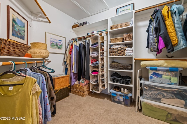 walk in closet with carpet floors