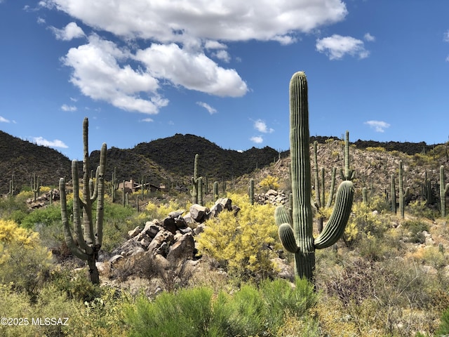 Listing photo 2 for 1194 W Tortolita Mountain Cir W Unit 194, Tucson AZ 85755