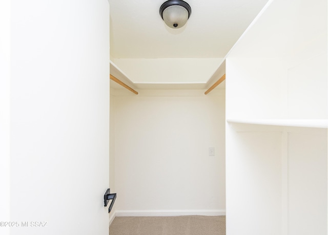 walk in closet featuring light carpet