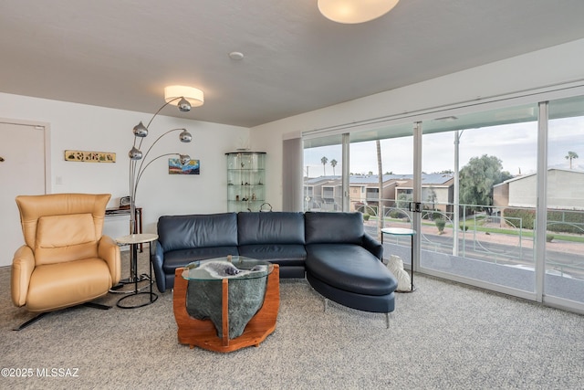 living room with carpet