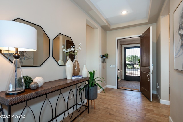 foyer featuring hardwood / wood-style flooring and a raised ceiling