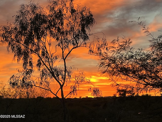 view of nature at dusk