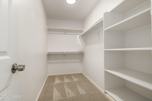 walk in closet with light carpet