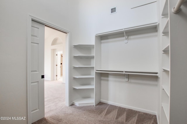 spacious closet featuring carpet floors