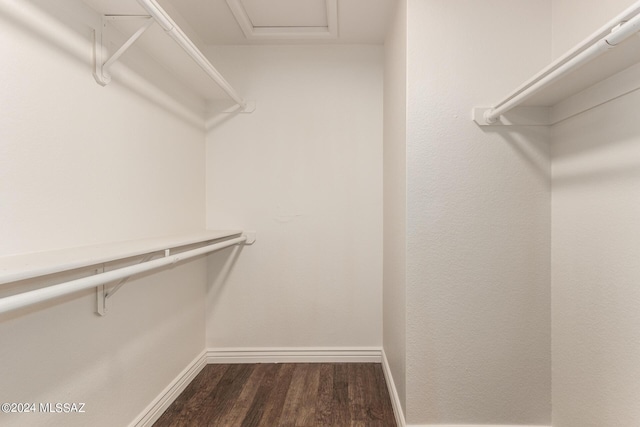 spacious closet with dark hardwood / wood-style flooring